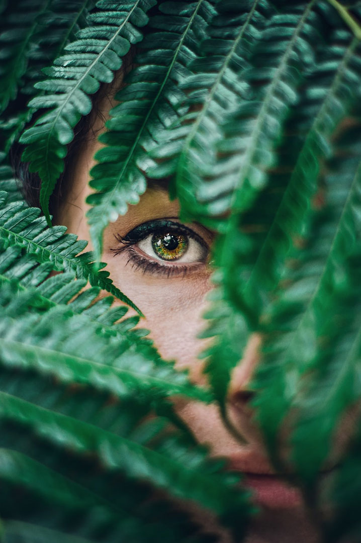 Eye-Forest-Full